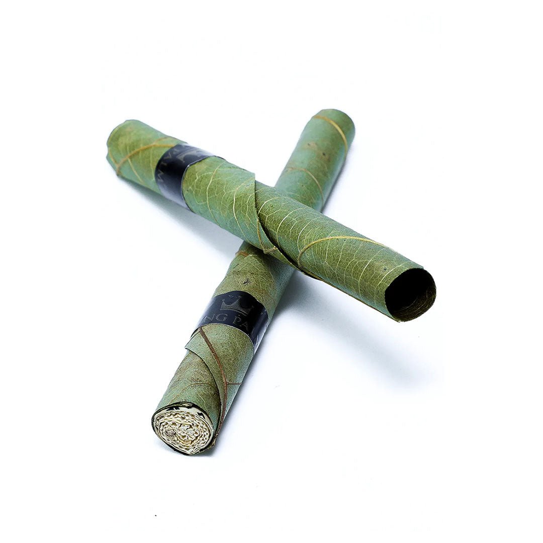 Confezione King Palm Fruit Passion con 2 blunt in foglia di palma, filtro ai terpeni, pressino in bambù e Boost 62% | GrowLab