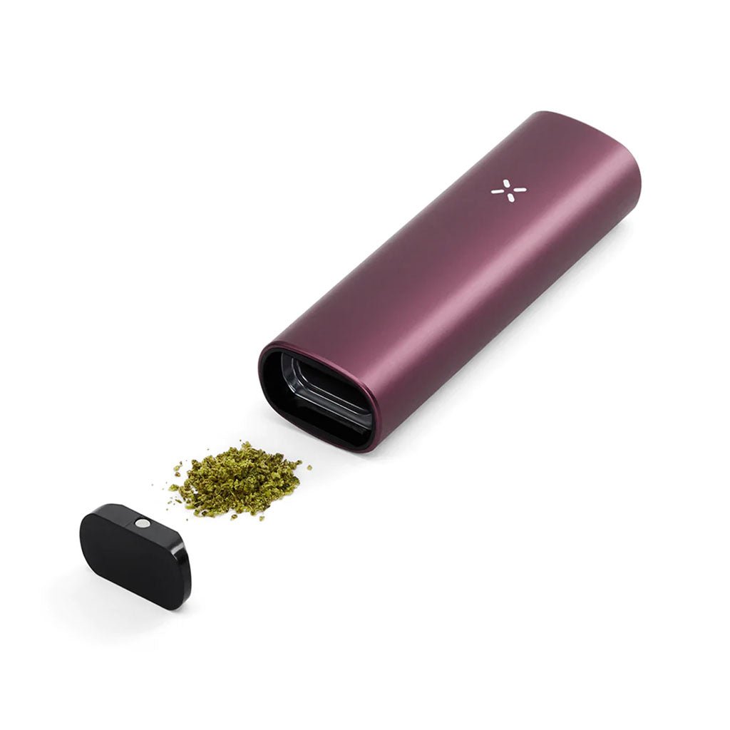 PAX Plus Vaporizer Elderberry portatile, elegante, dual-use con modalità multiple | GrowLab
